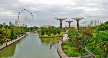 The Best Things to Do to Enjoy Gardens by The Bay to The Fullest