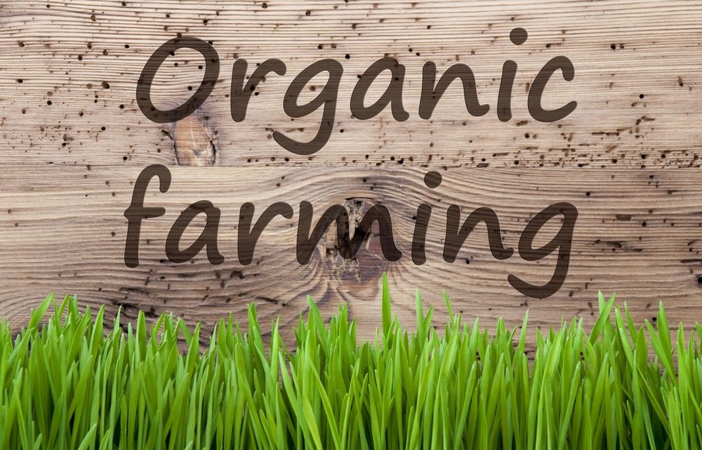 Reasons And Technologies To Farm Organic