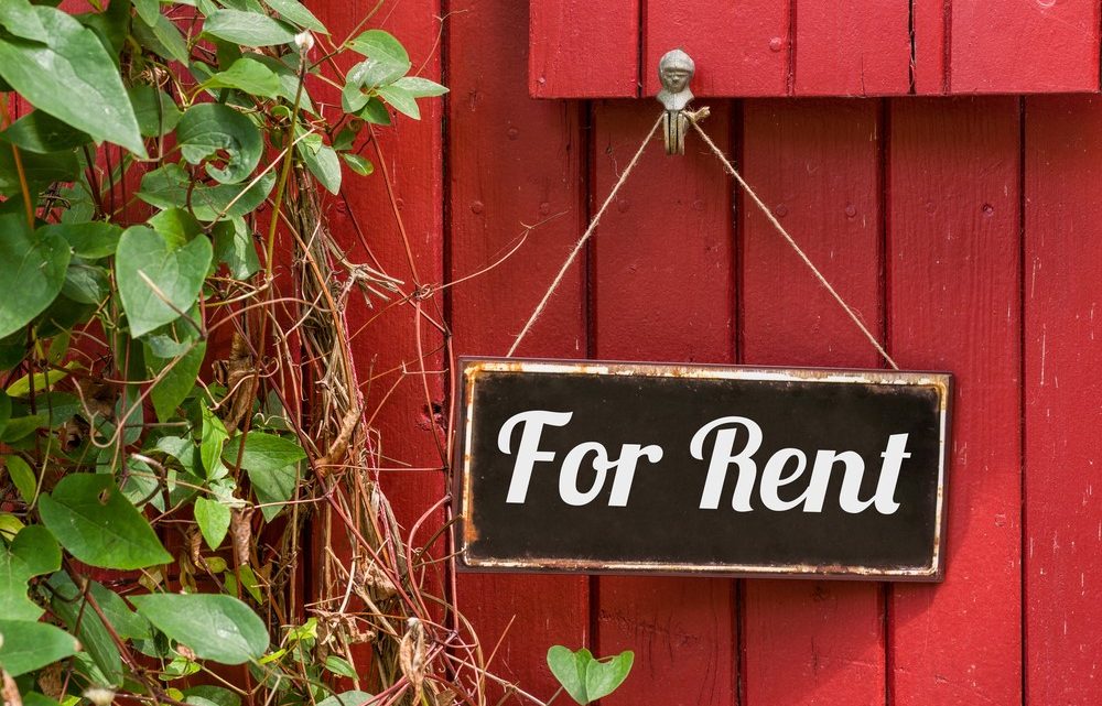 Everything You Should Know Before Renting